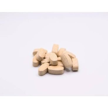 Kloubní výživa pro psy s CBD Zelená Země 60 ks