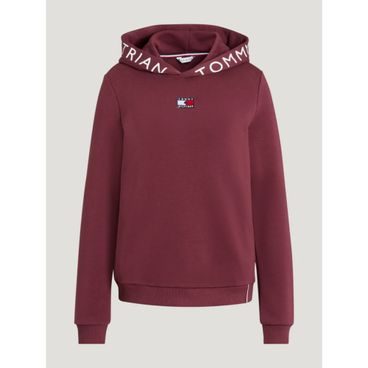 *W* Mikina Ariat® WMS Rabere 2.0 Hoodie dámská Kolekce 2025/26