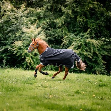 Deka výběhová Horseware AmEco 1200D Plus 250g