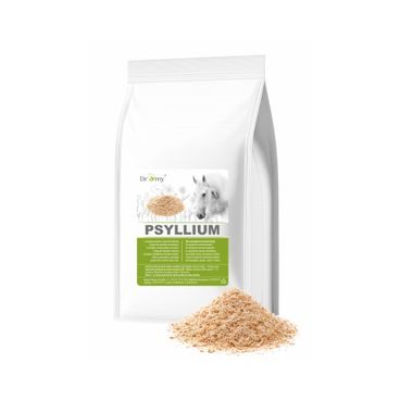 Dromy Psyllium vláknina 1kg