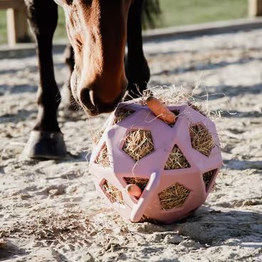 Míč na hraní/krmení Kentucky Relax Horse