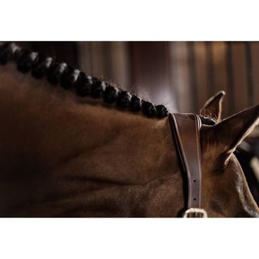 Ohlávka Equestrian Stockholm Anatomic Glimmer Leather Kolekce 2025/26