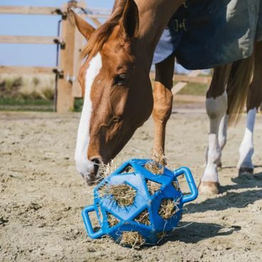 Startovní číslo Kentucky PVC Safety Pin