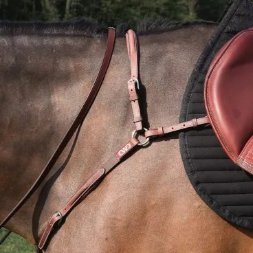 Poprsník CWD CC11HSPM Sport Color Raised