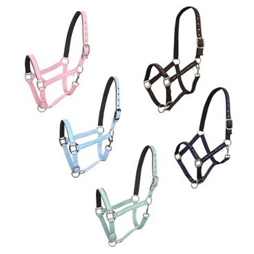 Ohlávka HV Polo Nena Kolekce 2026