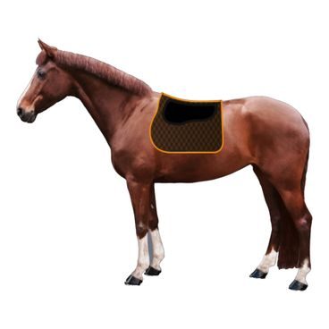 Deka síťovaná Equest Premium Alpha Regular Bicolor Plus