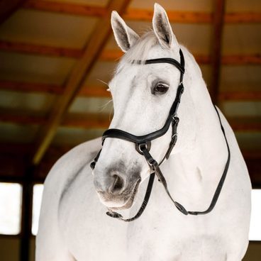 Uzdečka Horseware Micklem Bitless