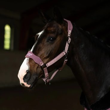 Čabraka na uši Equestrian Stockholm Modern Crystal Mauve Wine Kolekce 2026/27