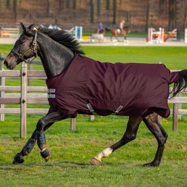 Deka výběhová Horseware Amigo Hero Ripstop Fleece Lining 50g KOL Fig