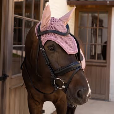 Čabraka na uši Eskadron Heritage Dynair Mesh Jewel Kolekce 2025/26