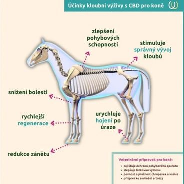 Kloubní výživa pro koně s CBD Zelená Země 500g
