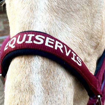 Ohlávka HKM NeonFlash