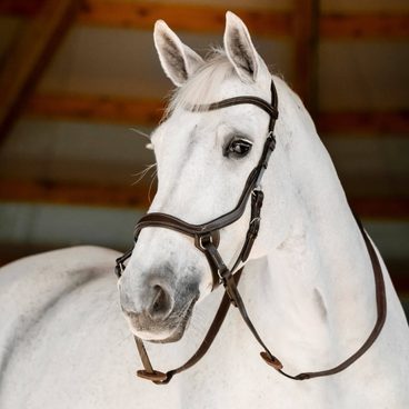 Krční díl Horseware Rambo Stable 200g