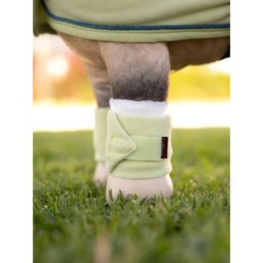 Bandáže Lemieux Toy Pony Kolekce 2026