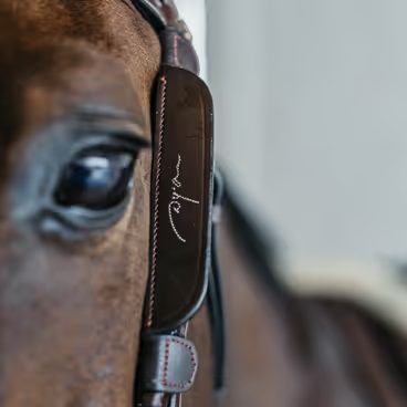 Dy'on Blinkers AB99Q