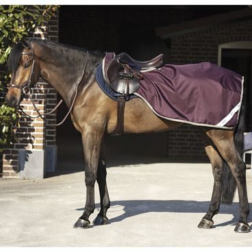 Deka bederní Horseware AMIGO Ripstop