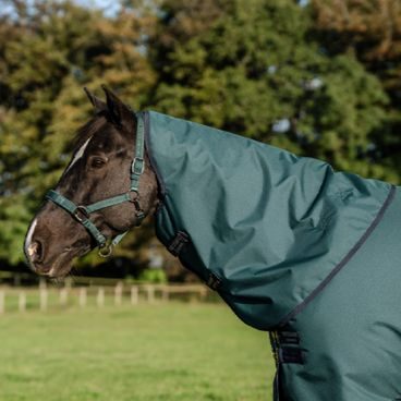 Krční díl Horseware Amigo Ripstop 900D Kolekce 2025/6