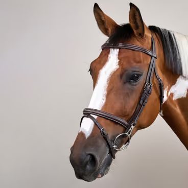 Uzdečka Dy'on Double Noseband DYAAAH