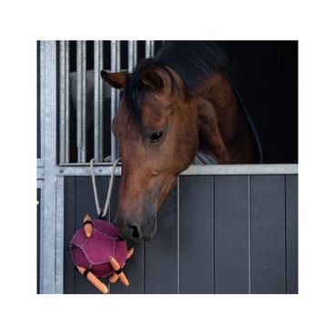 Hračka pro koně QHP Ball