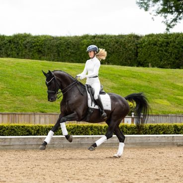 Čabraka na uši LeMieux Loire Satin Sage