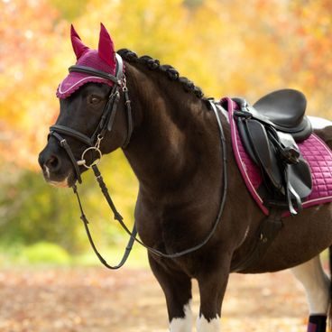 Ohlávka s vodítkem LeMieux Hobby Horse Vogue Kolekce 2026/27