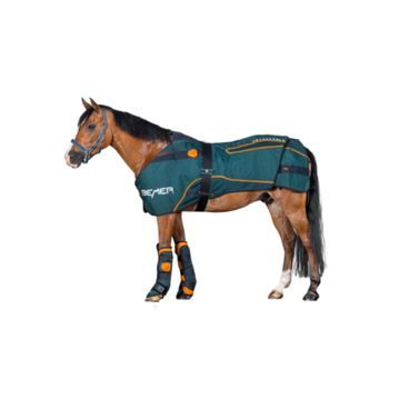 BEMER Horse-Set Perfect Duo