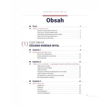 Publ Krasek Hobby horsing