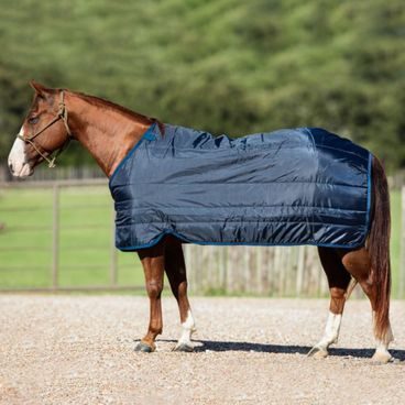 Poddeka Equitheme Classic 200g