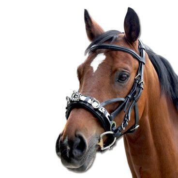 Lonžovací obnosek W kožený