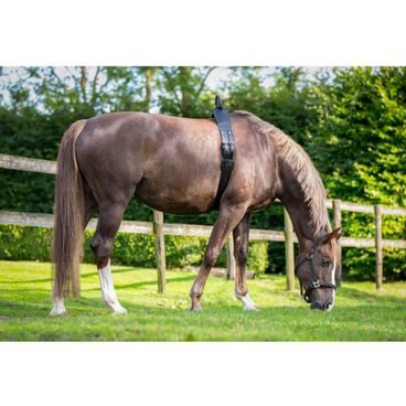 Taška QHP stájová Kolekce 2025