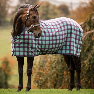 Hřeben/kartáč rozčesávací Horseware