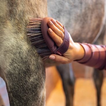 Kartáč LeMieux Flexi Flicky Brush Kolekce 2026