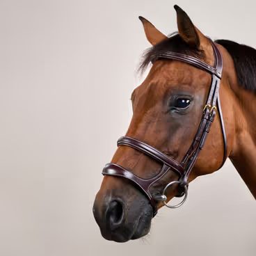 Uzdečka Dy'on Double Noseband DYAAAH