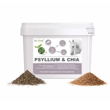 Dromy Psyllium + Chia 3kg