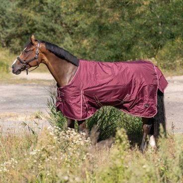 Deka Equitheme Paddock stájová 50gr DOPRODEJ