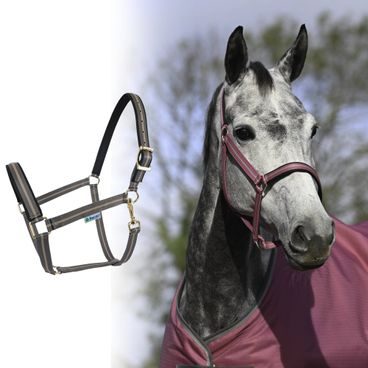 Ohlávka Bucas Dublin podložená Kolekce 2025/26