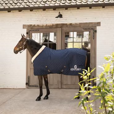 Deka stájová termo Kentucky Show rug Velvet 150g/160g
