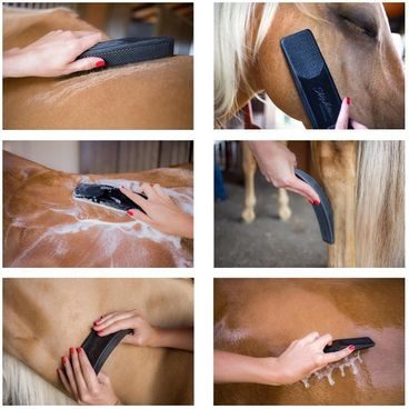 Equi super shiner QHP