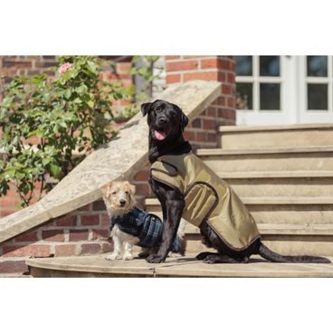 Pamlsek Carnilove Freeze-Dried Raw Snacks Salmon & Turkey 60g