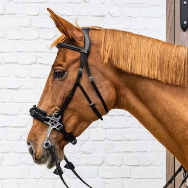 Speciální udidlo Hackamore Sprenger