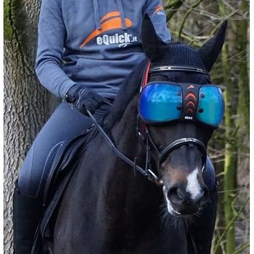 Ochrana očí Equick eVysor
