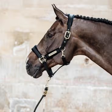 Strouhačky Kentucky Young Velvet 88209