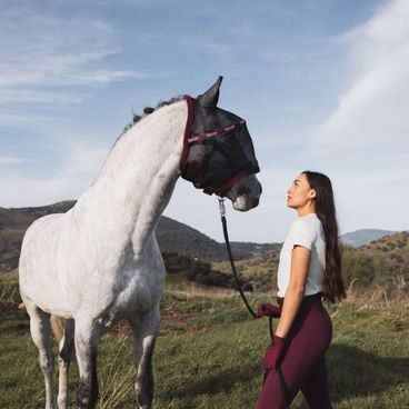Maska Horze Wire-Framed Kolekce