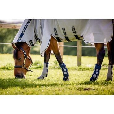 Chránič hlezenní Horseware® LED Red Light Therapy