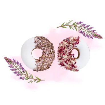 Pamlsky Candy Horse Donut Valentine's day Herbs 90g 2ks