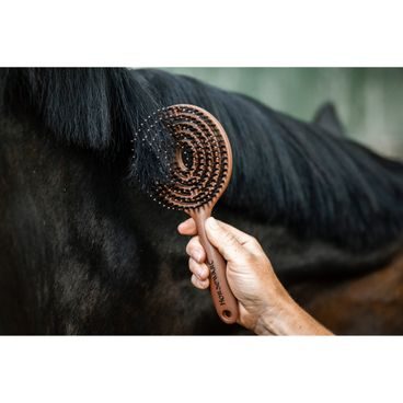 Hřeben/kartáč rozčesávací Horseware