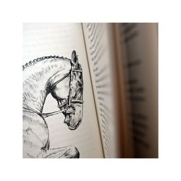 Publ Ettl Výchova hříběte - od narození do tří let