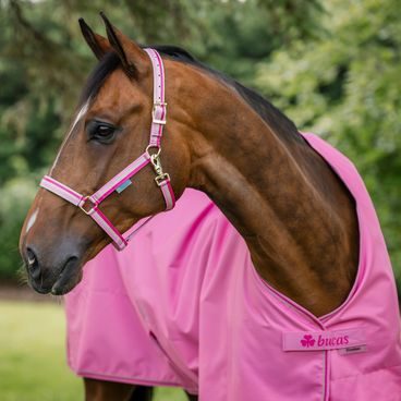 Vodítko Bucas Dublin Kolekce 2026