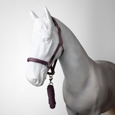 Ohlávka s vodítkem Horze Lucca