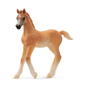Schleich 13984 - Arabské hříbě